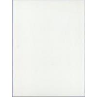 Smooth Gloss White Tiles - 330x250x7mm