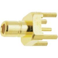 SMB connector Plug, vertical mount 50 ? IMS 11.1510.001 1 pc(s)