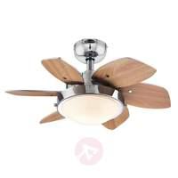 Small ceiling fan Quince with light, wenge-beech