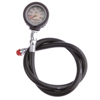 SM36 Pressure Gauge