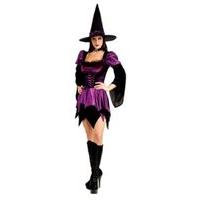 Small Adult\'s Sexy Witch Costume