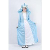 Small Blue & White Girls Mary Costume