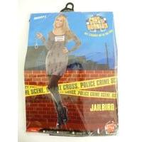 Small Ladies Jailbird Costume