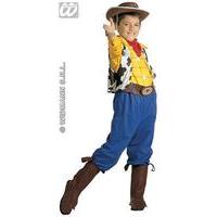 Small Boys Cowboy Woody Costume