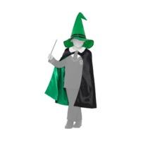 Smiffy\'s Wizard Boy Costume