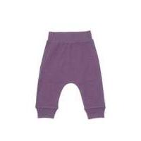Smallstuff - Pants - Purple In Cotton Dusty Purple 56