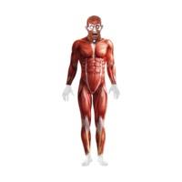 Smiffy\'s Anatomy Man Costume