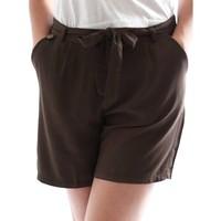 Smash S1671002 Shorts Women women\'s Shorts in brown