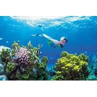 snorkel atv zipline and cenote adventure from cancun