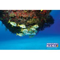 Snorkel Xtreme Cancun