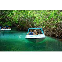 Snorkeling and Speed Boat Tour