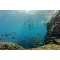 Snorkeling Tour in Paraggi Bay