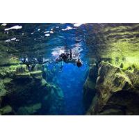 Snorkelling at Silfra in Crystal Clear Water between Two Tectonic Plates