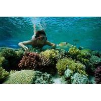 Snorkel Trip from Sharm El-Naga Bay Hurghada