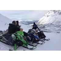 snowmobile safari and reindeer herding in the mountains of tromso