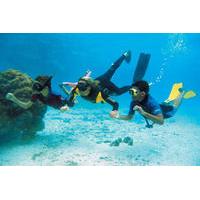 Snorkeling Tour at Land\'s End in Cabo San Lucas