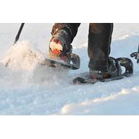 Snowshoe Hike into Lapland\'s White Wilderness