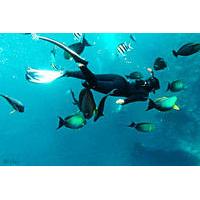 Snorkeling Package at Tulamben USAT Liberty Shipwreck