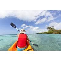 Snorkel and Kayak Adventure in Antigua