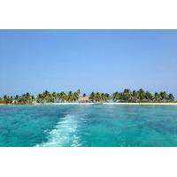 snorkeling adventure at laughing bird caye national park