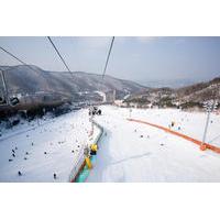 Snow Trip From Seoul