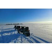 Snowmobile Safari in the Arctic Circle Including Hotel Transport from Rovaniemi