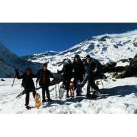 Snowshoeing Hiking Adventure in Cajon del Maipo from Santiago