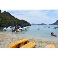 Snorkel and Kayak Trip to Angthong Marine Park by Speed Boat from Koh Phangan