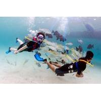 SNUBA Dive Experience in Montego Bay