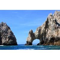Snorkeling at Pelican Rock, Sea Lions Colony and Land\'s End Arch Sightseeing Tour in Los Cabos