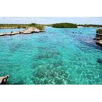 Snorkel at Yalku Caleta and Cenote Chikinha