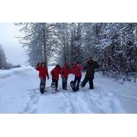 Snowshoe Tour at Chena Lakes
