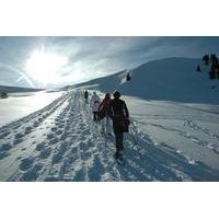 snowshoe tour from interlaken