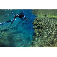 snorkeling in thingvellir national park from reykjavik