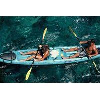 snorkel kayak and dolphin experience in the big islands kealakekua bay
