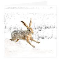 Snow Hare Christmas Card