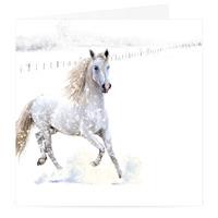 Snow Gallop Christmas Card