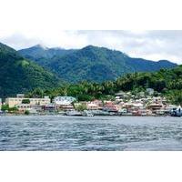 Soufriere Island Delight Half-Day Trip From St Lucia