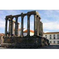 South Portugal Wine Route Private Full Day Tour from Lisbon