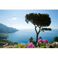 Sorrento Shore Excursion: Positano, Sorrento and Amalfi Day Trip