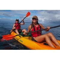 South Maui Kayak and Snorkel Tour with Turtles