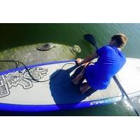 sobe surf florida paddle board and kayak eco manatee tour