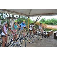 southern beaches of florianpolis bike tour