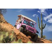 Sonoran Desert Tour from Scottsdale