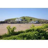 South Devon Coast and Country luxury private guided tour from Devon