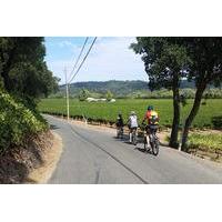 Sonoma Valley Wine Country Bike Tour