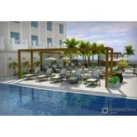 SOMERSET PANORAMA MUSCA