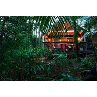 Songbirds Rainforest Retreat