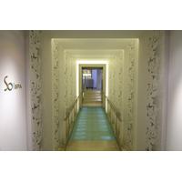 So Magnifique for One