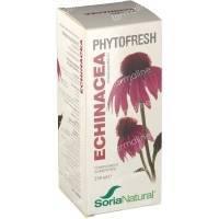 Soria Natural Fytofresh Echinace...
